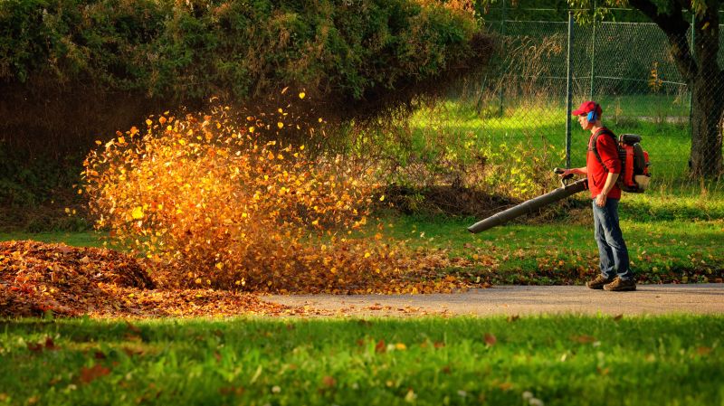 Commercial Leaf Removal in Honolulu, HI