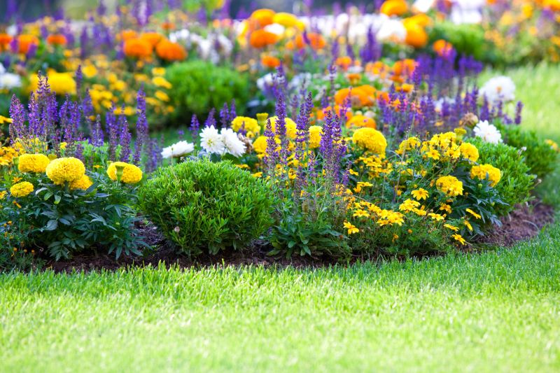 Flower Landscaping in Ventura County, CA