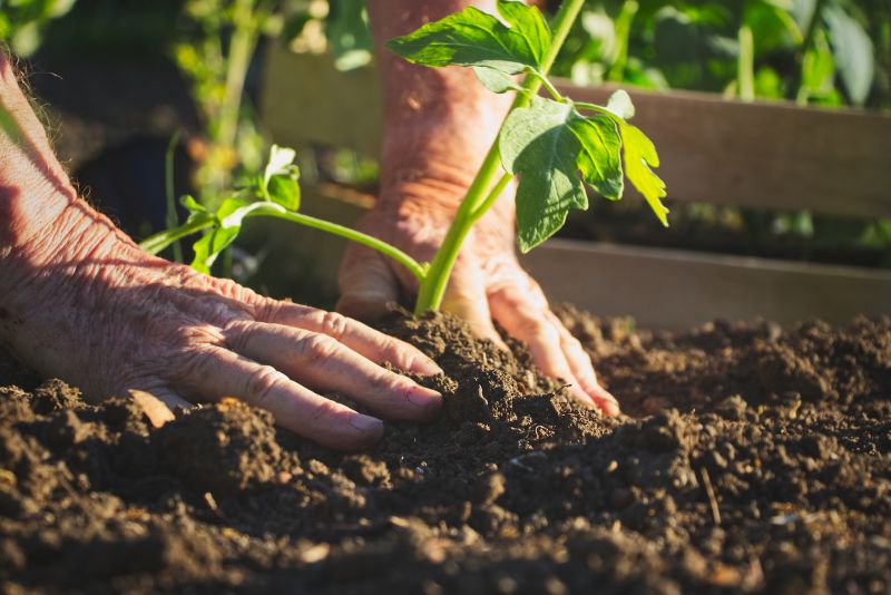 Garden Planting Service in Honolulu, HI