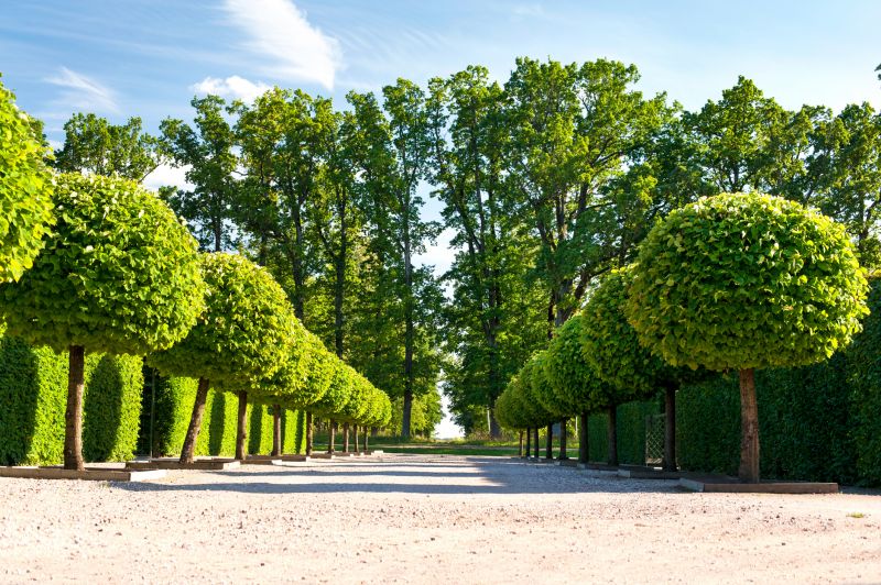 Landscape Pruning Service in Honolulu, HI