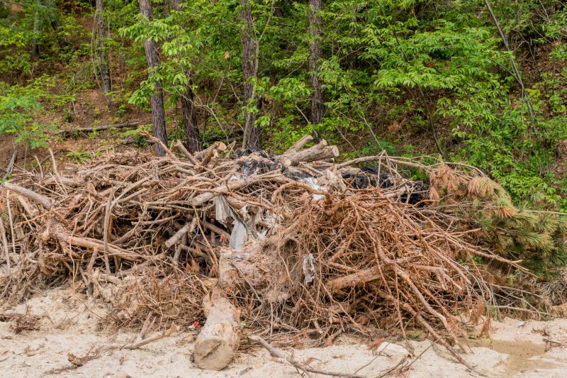 Lawn Debris Cleanup in Ventura County, CA