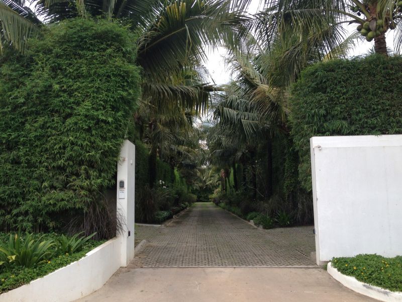 Privacy Hedge Planting in Honolulu, HI