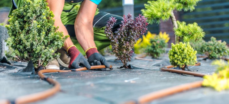 Residential Landscaping in Honolulu, HI