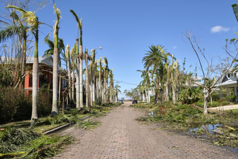 Tree Debris Removal in Ventura County, CA