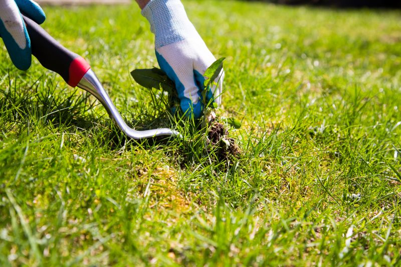 Weeding Service in Rockwall, TX