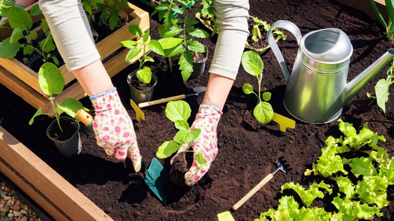 Professional Gardening Contractors