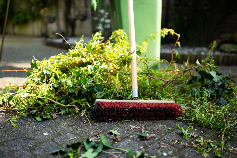 Yard Debris Removal in Ventura County, CA